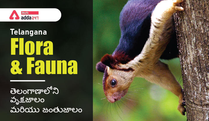 Details About The Telangana Flora and Fauna |_30.1