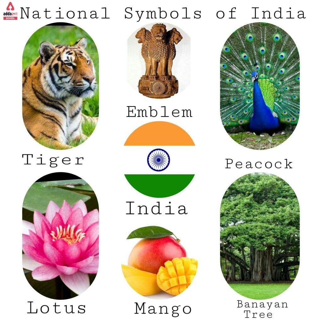 National Symbols of India with Names List- राष्‍ट्रीय चिन्ह