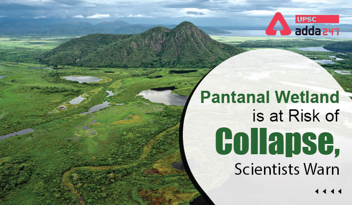 Pantanal Wetland is at Risk of Collapse, Scientists Warn_30.1