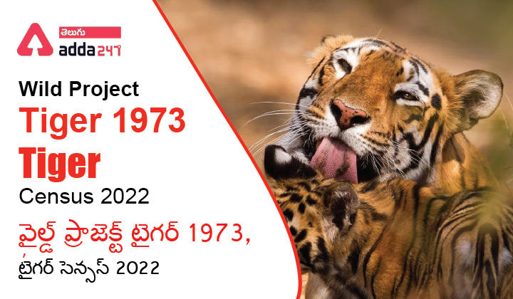 Wild Project Tiger 1973, Tiger Census 2022 , వైల్డ్ ప్రాజెక్ట్ టైగర్ 1973, టైగర్ సెన్సస్ 2022_30.1