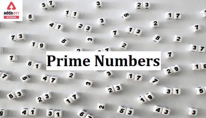 Prime Numbers List Definition And Examples