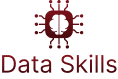 Data Skills