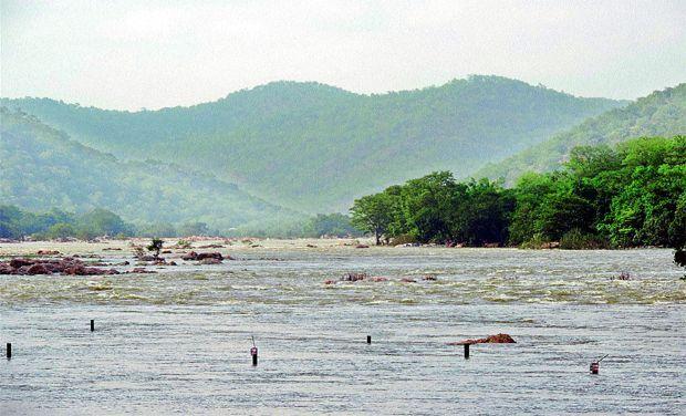 Manjeera sanctuary of Telangana turns man-animal battleground