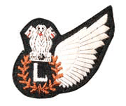 List of Wings Worn By Indian Air Force Pilots_11.1