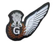List of Wings Worn By Indian Air Force Pilots_8.1