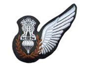 List of Wings Worn By Indian Air Force Pilots_9.1