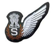 List of Wings Worn By Indian Air Force Pilots_6.1