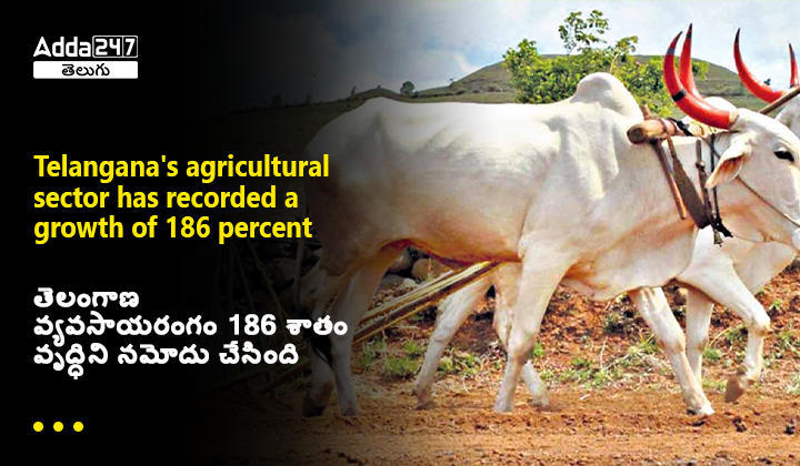 Telangana's agricultural sector has recorded a growth of 186 percent_60.1