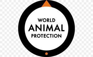 India ranks second in Global Animal Protection Index 2020_4.1