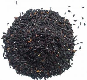 Manipur black rice & Gorakhpur terracotta gets GI tag_4.1