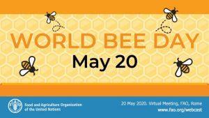 World Bee Day observed globally on 20th May_4.1