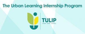 GoI launches "The Urban Learning Internship Program (TULIP)"_40.1