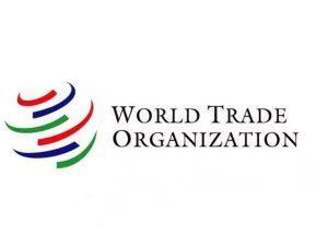 Turkmenistan gets observer status in World Trade Organization_4.1