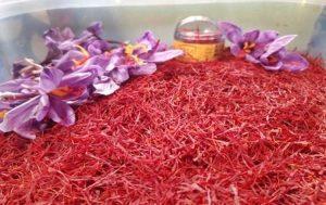 E-auction portal rolled out to promote trading of 'Kashmir Saffron'_4.1