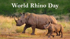 World Rhino Day: 22 September_4.1