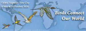 World Migratory Bird Day: 10 October_40.1