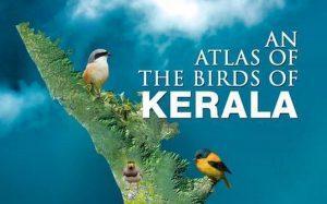 Kerala got its first-ever scientific bird atlas_4.1