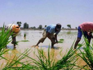Meri Policy Mere Hath: GoI to launch 'MPMH' to Deliver Crop_4.1