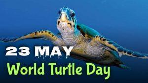 World Turtle Day 2022 observed on 23rd May Every year._4.1