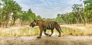 Tamil Nadu's 18th Wildlife Sanctuary Opens in Erode_4.1