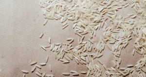 Chhattisgarh's Nagri Dubraj rice variety gets GI tag_4.1