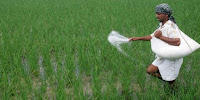 GST-Council-cuts-tax-rate-on-fertiliser-to 5-pc-from-12 pc