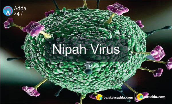 Nipah Virus: The New Viral Threat to Human Health ( in Hindi) | Latest Hindi Banking jobs_3.1
