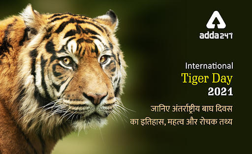 International Tiger Day 2021: जानिए अंतर्राष्ट्रीय बाघ दिवस का इतिहास, महत्व और टाइगर्स से जुड़े रोचक तथ्यों के बारे में | Latest Hindi Banking jobs_3.1