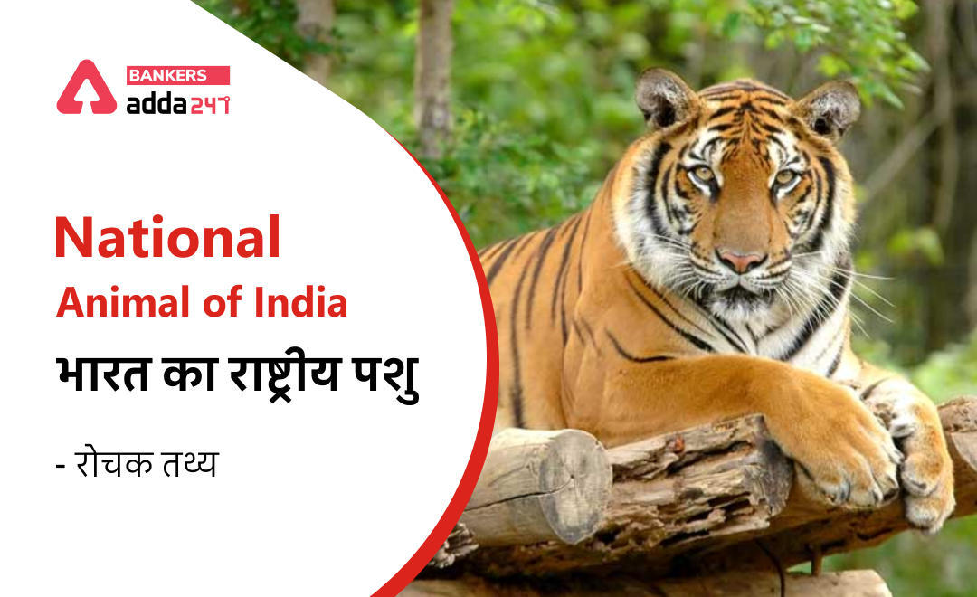 National Animal of India (Royal Bengal Tiger): भारत का राष्ट्रीय पशु बाघ से जुड़े रोचक तथ्य, जानें भारत में हैं कितने टाइगर रिज़र्व? | Latest Hindi Banking jobs_3.1