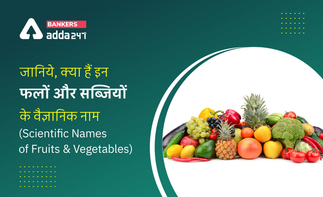 General Awareness 2022: जानिये, क्या हैं इन फलों और सब्जियों के वैज्ञानिक नाम (Scientific Names of Fruits & Vegetables) | Latest Hindi Banking jobs_3.1