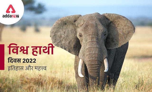 World Elephant Day 2022 in Hindi: विश्व हाथी दिवस 2022, जानें इतिहास और महत्व | Latest Hindi Banking jobs_3.1