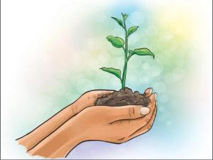 बिहार सरकार ने राज्य को हरा-भरा बनाने के लिए 'प्यार का पौधा' अभियान किया आरंभ |_30.1