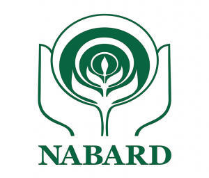 नाबार्ड ने अपने 39 वें स्थापना दिवस को चिह्नित करने के लिए 'डिजिटल चौपाल' का किया आयोजन |_3.1