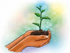 दिल्ली सरकार ने शुरू किया 'पौधे लगाओ, पर्यावरण बचाओ' अभियान |_3.1