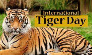 29 जुलाई अंतर्राष्ट्रीय बाघ दिवस |_3.1