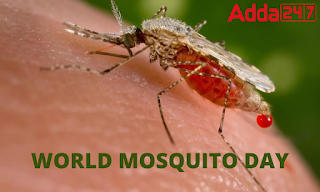 World Mosquito Day: विश्व मच्छर दिवस क्यों मनाया जाता है? |_30.1