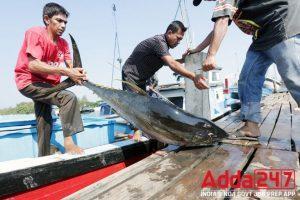 मछली उत्पादन के मामले में भारत विश्व में तीसरे स्थान पर |_3.1