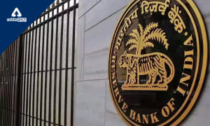 RBI ने भारतीय बैंकों के विदेशी कारोबार के लिए ढांचा जारी किया |_3.1