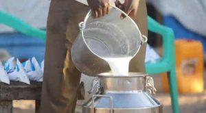 दूध उत्पादन के मामले में भारत बना दुनिया का नंबर-1 देश |_3.1