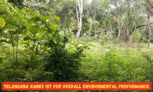 CSE रिपोर्ट : तेलंगाना पर्यावरण के मामले में पहली रैंक पर |_3.1