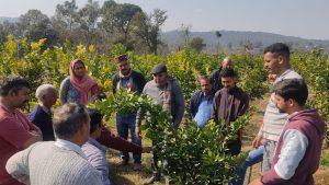 एडीबी और भारत ने हिमाचल प्रदेश में बागवानी को बढ़ावा देने हेतु 130 मिलियन डॉलर के ऋण समझौते पर हस्ताक्षर किए |_3.1
