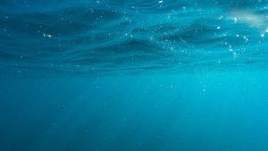 भारतीय महासागर में 'ग्रेविटी होल' की महत्वपूर्ण खोज : जानें पूरी जानकारी |_3.1