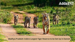 मध्य प्रदेश: भारत का सबसे बड़ा टाइगर रिजर्व दमोह में स्थापित किया जाएगा |_3.1