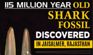 राजस्थान के जैसलमेर में 115 मिलियन वर्ष पुराने शार्क जीवाश्म की खोज |_3.1