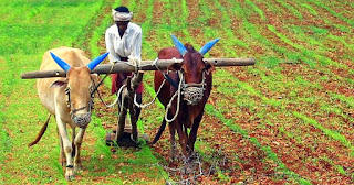 ओडिशा सरकार ने 19 ज़िलों में वर्षा से प्रभावित किसानों के लिये लगभग 365 करोड़ रुपये जारी किए |_40.1
