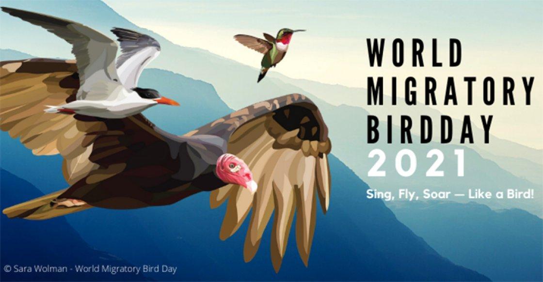 World Migratory Bird Day: 08 May | বিশ্ব পরিযায়ী পাখি দিবস: 08 মে_20.1