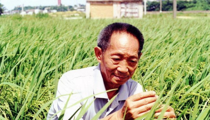 China's 'father of hybrid rice' Yuan Longping passes away | চীনের 'হাইব্রিড চালের জনক' ইউয়ান লংপিং প্রয়াত হয়েছেন_2.1