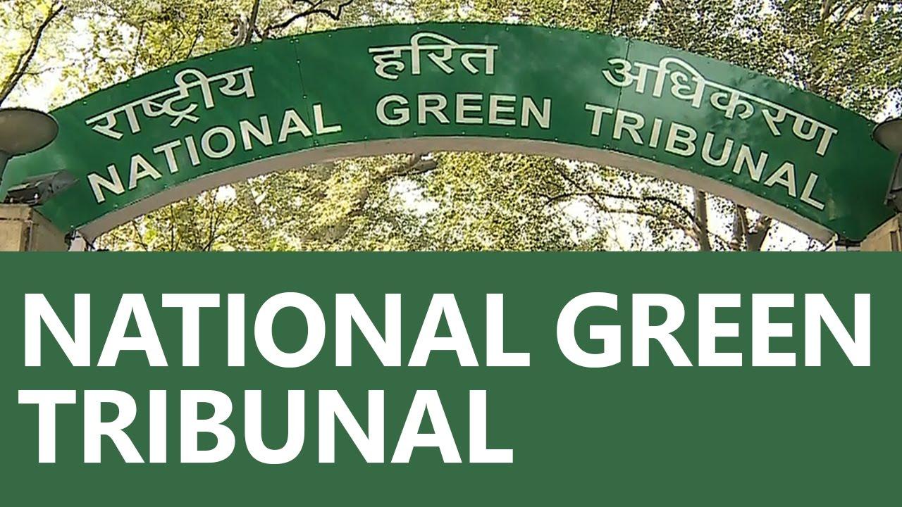 Gujarat's Vishwamitri river project gets National Green Tribunal nod | गुजरातच्या विश्वामित्री नदी प्रकल्पाला राष्ट्रीय हरित न्यायाधिकरण मंजूरी_2.1