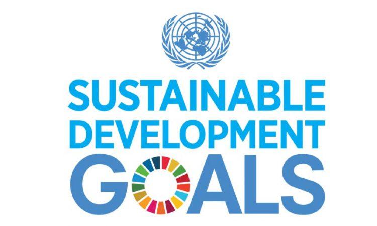 India slips two spots on 17th Sustainable Development Goals report | 17 व्या टिकाऊ विकास लक्ष्याच्या अहवालात भारत दोन स्थान खाली घसरला_2.1