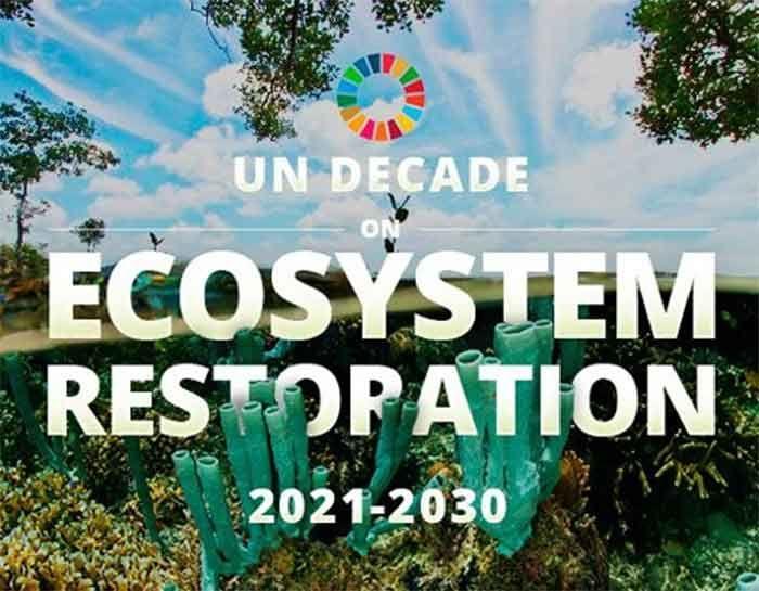 United Nations Decade on Ecosystem Restoration: 2021-2030 | इकोसिस्टम पुनर्संचयनावरील संयुक्त राष्ट्रांचे दशक: 2021-2030_30.1